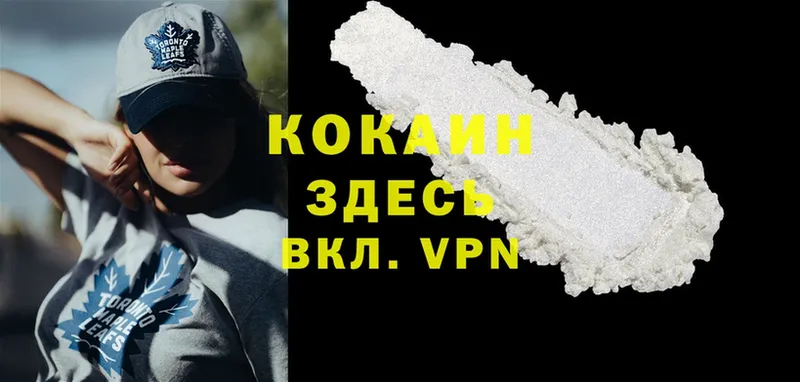 закладки  Ржев  Cocaine Эквадор 